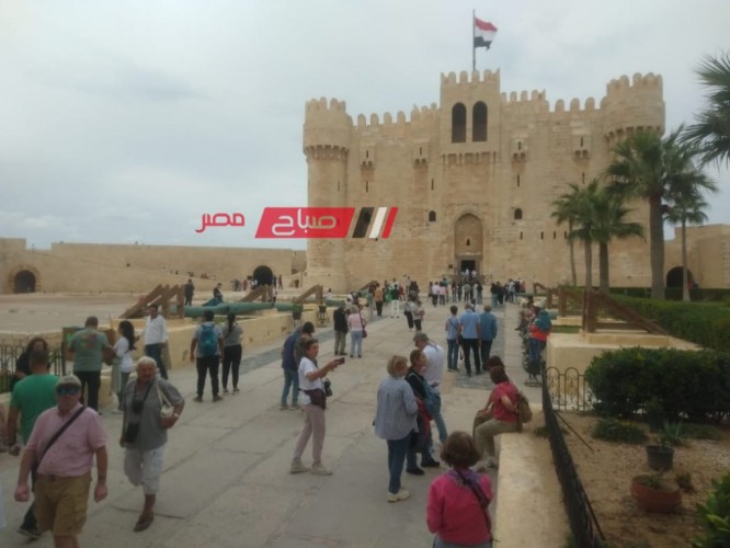 35 فوج سياحي لزيارة قلعة قايتباي بمحافظة الإسكندرية