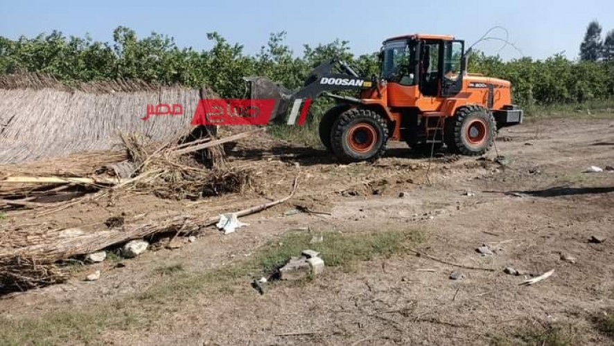 حملات لإزالة التعديات علي الأراضي الزراعية بحي المنتزه في الإسكندرية
