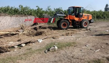 حملات لإزالة التعديات علي الأراضي الزراعية بحي المنتزه في الإسكندرية