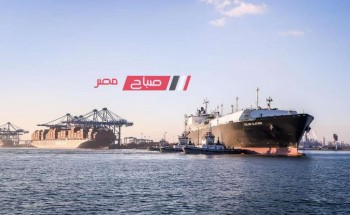 تداول 30 سفينة وتصدير 5377 طن رمل و 622 طن كحول عبر ميناء دمياط خلال 24 ساعة