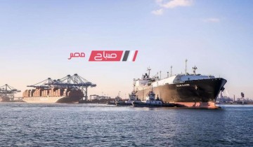 تصدير 200 طن يوريا و 5185 طن ملح خلال 24 ساعة عبر ميناء دمياط