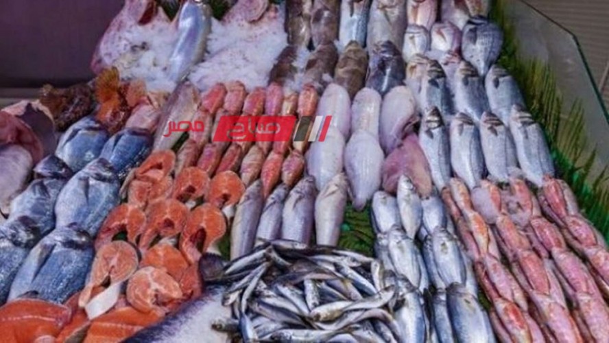 تعرف على احدث أسعار اللحوم والأسماك اليوم الاثنين 27-11-2023 بالسوق المصري