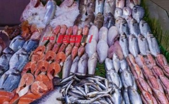 تعرف على احدث أسعار اللحوم والأسماك اليوم الاثنين 27-11-2023 بالسوق المصري