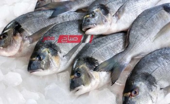 تعرف على احدث أسعار اللحوم والأسماك في السوق المحلي اليوم الخميس 23-11-2023