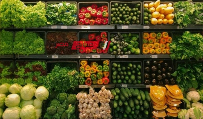 تعرف على متوسط أسعار الخضروات المحدثة لكل الانواع في مصر اليوم الجمعة 24-11-2023