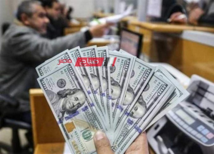 ثبات أسعار الدولار اليوم الإثنين 20-11-2023 بالسوق الرسمي والغير رسمي في مقابل الجنيه السوداني