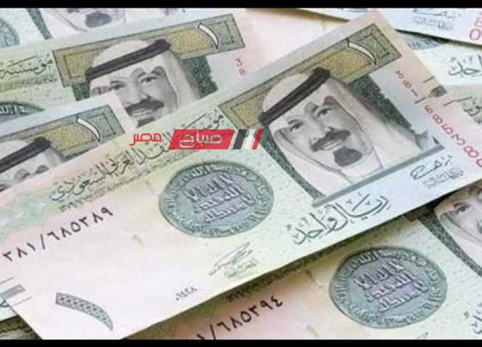 ثبات أسعار الريال السعودي اليوم الجمعة 24-11-2023 في البيع والشراء