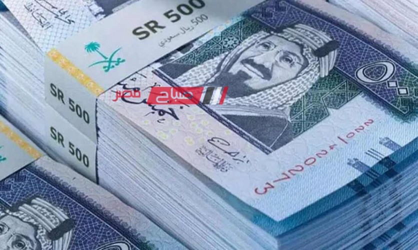 ثبات في أسعار تداول الريال السعودي اليوم الإثنين 20-11-2023 امام الجنيه المصري