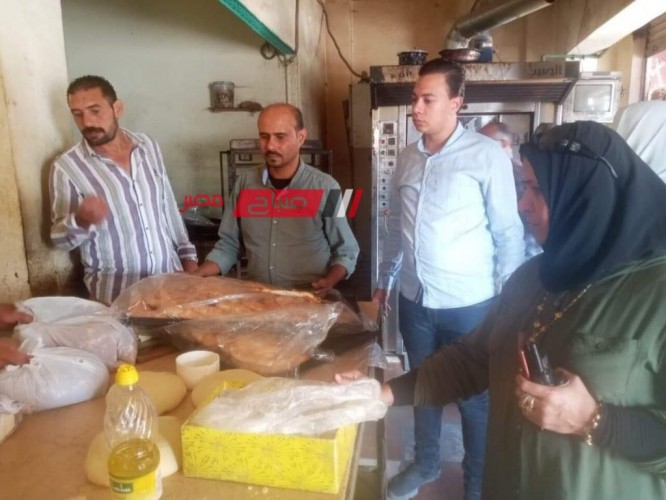 حملات للرقابية للتفتيش على المصانع والمحلات التجارية في كفر البطيخ بدمياط