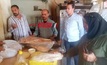 حملات للرقابية للتفتيش على المصانع والمحلات التجارية في كفر البطيخ بدمياط