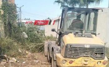حملات مكبرة إزالة نباتات الهيش والبوص من شوارع قرى دمياط