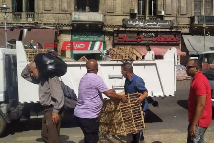 حملات مكبرة بحي الجمرك وتحرير محاضر للمخالفين في الإسكندرية