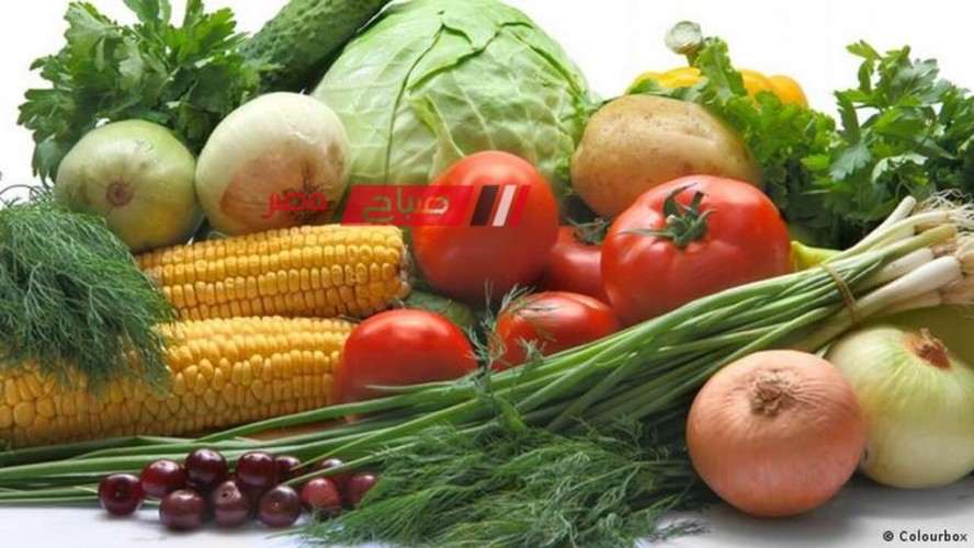 قائمة أسعار الخضروات اليوم الاربعاء 22-11-2023 لجميع الانواع في مصر