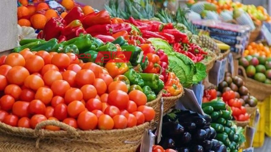 قائمة أسعار الخضروات اليوم الثلاثاء 28-11-2023 لكل الانواع المتوفرة داخل السوق المصري