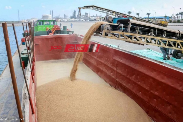 ميناء دمياط يعلن تحميل شحنة 813 طن قمح متجهه إلى محافظة المنيا