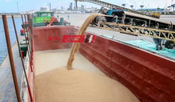 ميناء دمياط يعلن تحميل شحنة 813 طن قمح متجهه إلى محافظة المنيا