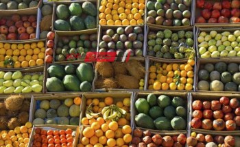 ننشر تفاصيل أسعار الفاكهة لكل الانواع اليوم الثلاثاء 28-11-2023 في الاسواق