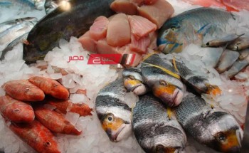 ننشر تفاصيل أسعار اللحوم والأسماك اليوم الاربعاء 29-11-2023 بالاسواق المصرية