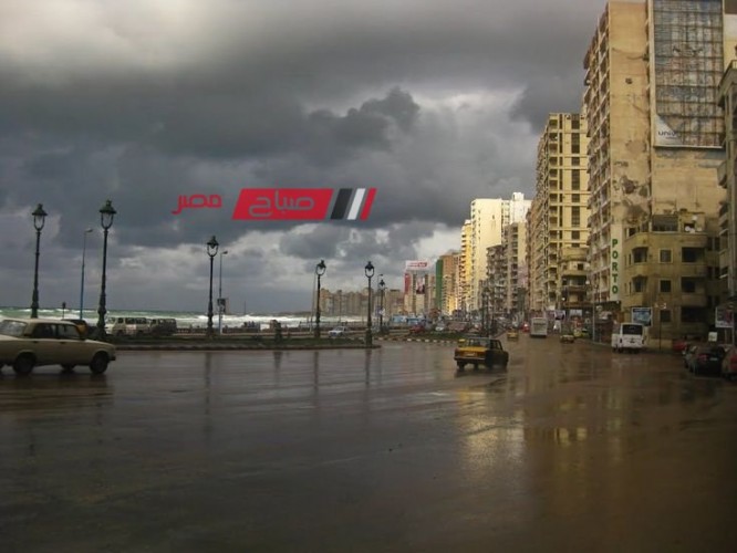 نوة المكنسة تستمر في ضرب الإسكندرية بأمطار غزيرة