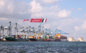 3 قطارات تغادر ميناء دمياط بحمولة 3925 طن قمح إلى صوامع طنطا وكوم ابو راضي