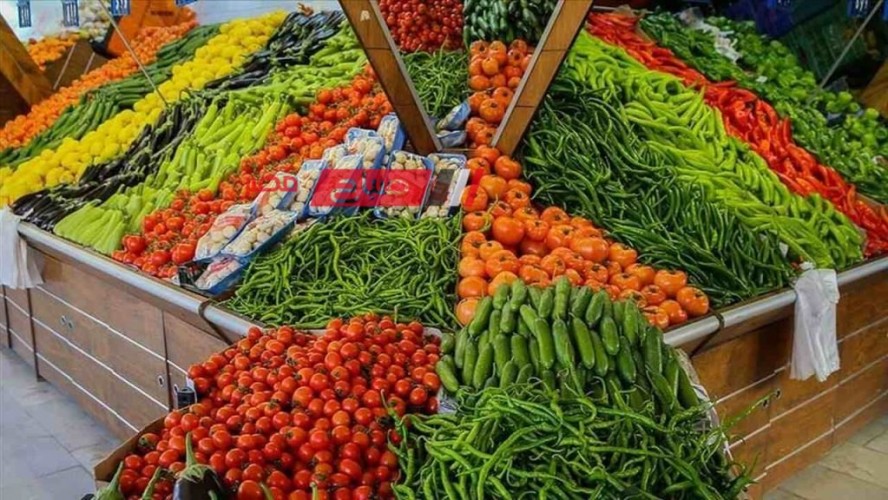 استقرار أسعار الخضروات اليوم الخميس 4-1-2024 … تعرف عليها