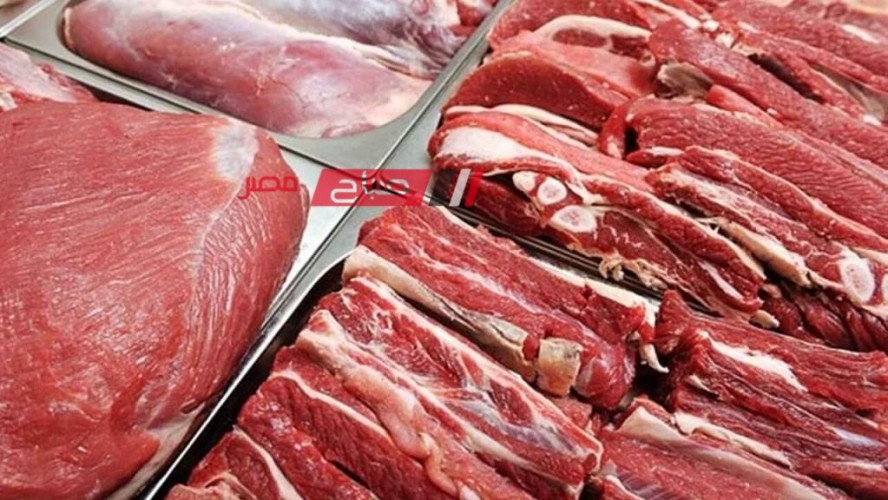 استقرار أسعار اللحوم والأسماك اليوم الخميس 7-12-2023 والبلطي يسجل 70 جنيه