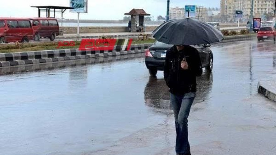 استمرار هطول الأمطار الغزيرة في نوة قاسم علي الإسكندرية
