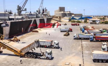 تصدير 12830 طن ملح صب و 448 طن ملح معبأ عبر ميناء دمياط خلال 24 ساعة