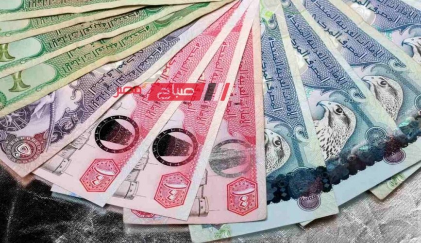 تعرف على احدث أسعار الريال السعودي بالتعامل الرسمي في البنوك اليوم الاربعاء 20-12-2023