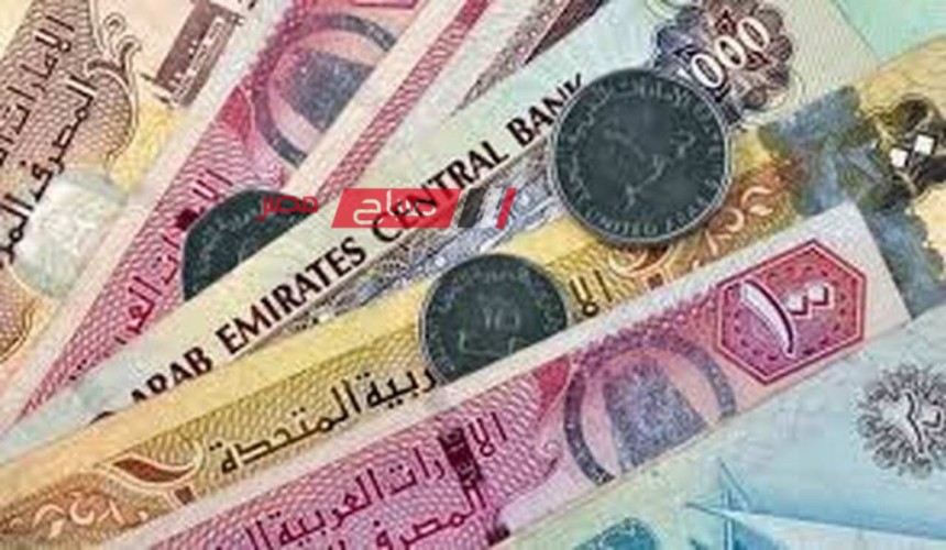 ثبات أسعار العملات اليوم الجمعة 8-12-2023 مقابل الجنيه المصري .. تعرف عليها