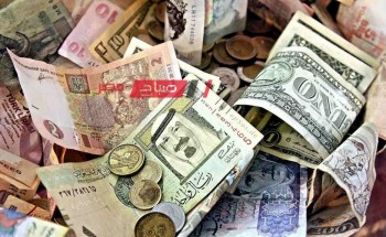قائمة أسعار الريال السعودي اليوم الخميس 14-12-2023 وفي بنك الكويت الوطني سجل 8.17 جنيه