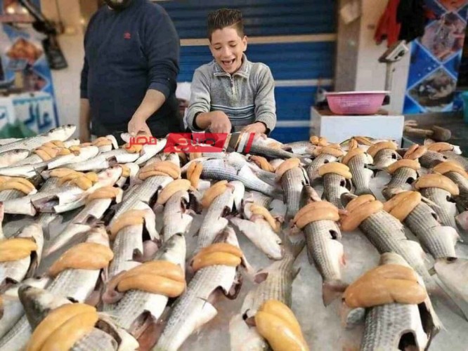 موسم الفوارغ يجذب الانظار في سوق السمك بدمياط