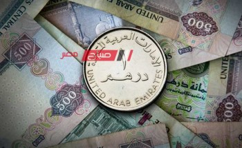 استقرار أسعار الدرهم الإماراتي اليوم الاربعاء 31-1-2024 في السوق المالي … تعرف على احدثها