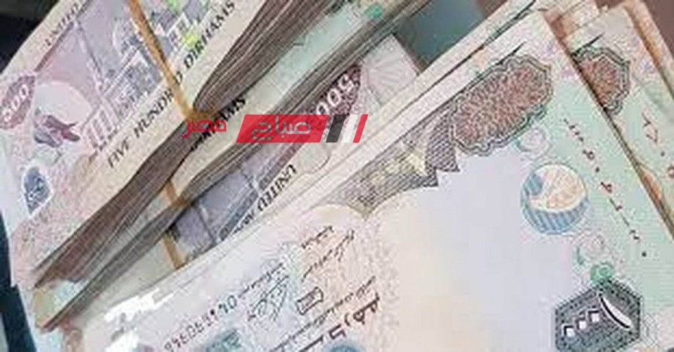 استقرار أسعار الدرهم الإماراتي في مقابل الجنيه المصري بالتعاملات المالية اليوم السبت 6-1-2024