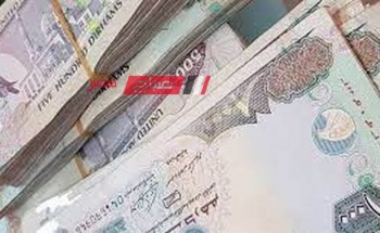 استقرار أسعار الدرهم الإماراتي في مقابل الجنيه المصري بالتعاملات المالية اليوم السبت 6-1-2024