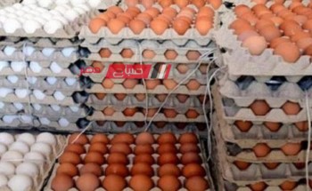 استقرار أسعار الدواجن والبيض اليوم الجمعة 19-1-2024 لجميع الانواع داخل الاسواق المصرية