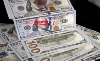 تراجع أسعار الدولار في السودان اليوم الثلاثاء 23-1-2024 .. ننشر تفاصيل التداول الرسمي والسوق الموازي