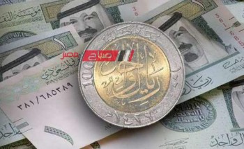 ثبات أسعار الريال السعودي اليوم الاربعاء 31-1-2024 في مقابل الجنيه المصري