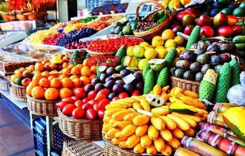 ثبات أسعار الفاكهة اليوم الاحد 14-1-2024 في الاسواق … تعرف على الاسعار الجديدة