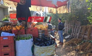حملات مكبرة للتصدي لمكبرات الصوت في قرى فارسكور بدمياط