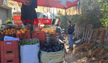 حملات مكبرة للتصدي لمكبرات الصوت في قرى فارسكور بدمياط