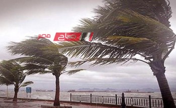 طقس الإسكندرية اليوم الثلاثاء 30-1-2024 وتوقعات تساقط الأمطار