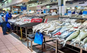 قائمة أسعار اللحوم والأسماك في جميع الاسواق اليوم الاحد 7-1-2024