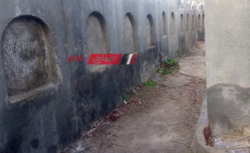 لليوم الثاني على التوالي… تكثيف حملات تنظيف المقابر في مدينة كفر البطيخ بدمياط