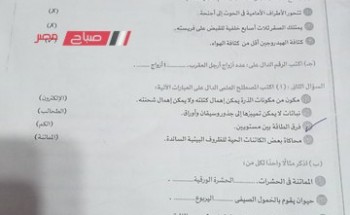 مراجعة نموذج امتحان مادة العلوم للصف الاول الاعدادي محافظة الجيزة 2024