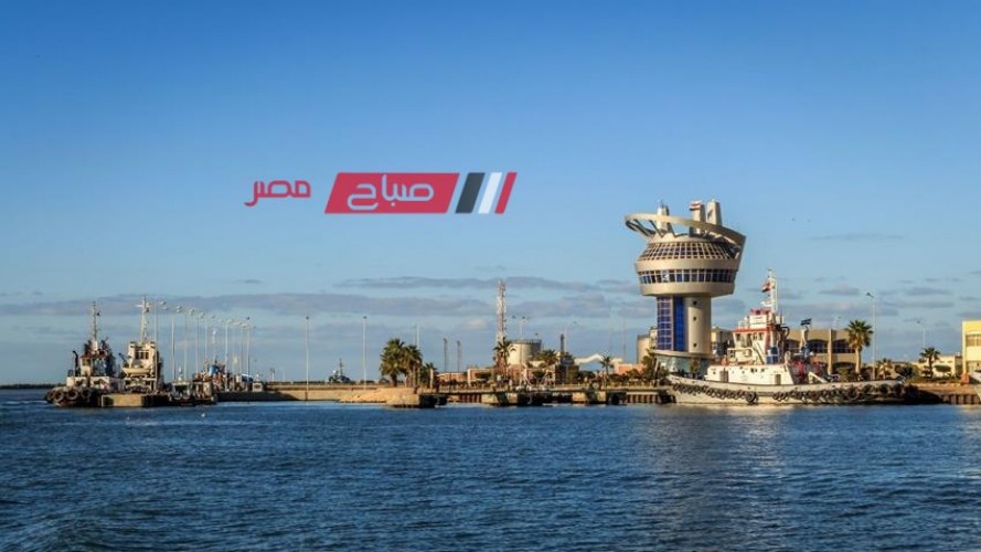 ميناء دمياط: وصول 63 الف طن قمح لصالح هيئة السلع التموينية عبر السفينة WADI ALKARM