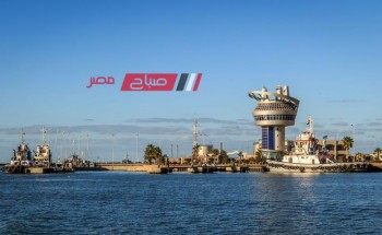 ميناء دمياط: وصول 63 الف طن قمح لصالح هيئة السلع التموينية عبر السفينة WADI ALKARM