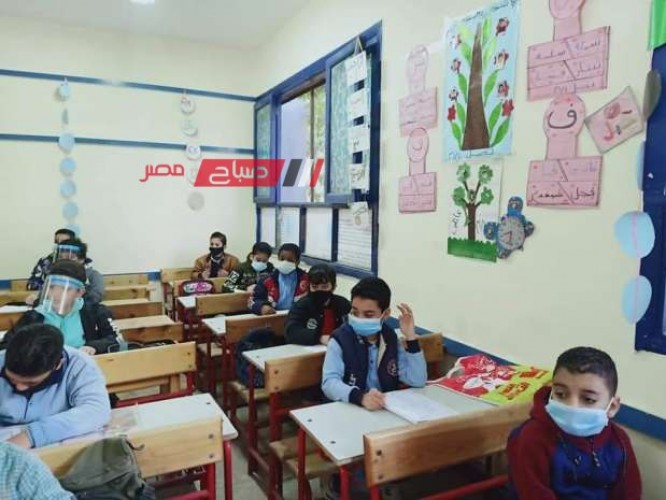 نماذج الوزارة الاسترشادية للصف الخامس الابتدائي لغة عربية ترم اول 2024