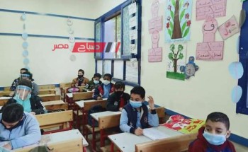 نماذج الوزارة الاسترشادية للصف الخامس الابتدائي لغة عربية ترم اول 2024