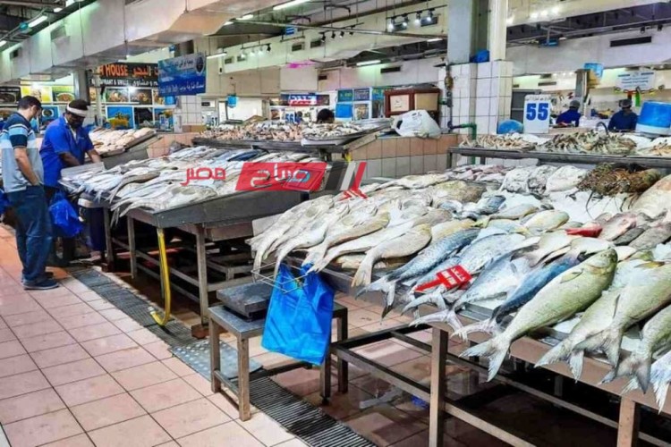 ننشر تفاصيل أسعار اللحوم والأسماك اليوم الاحد 21-1-2024 بالاسواق المصرية